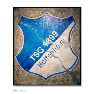 TSG Hoffenheim